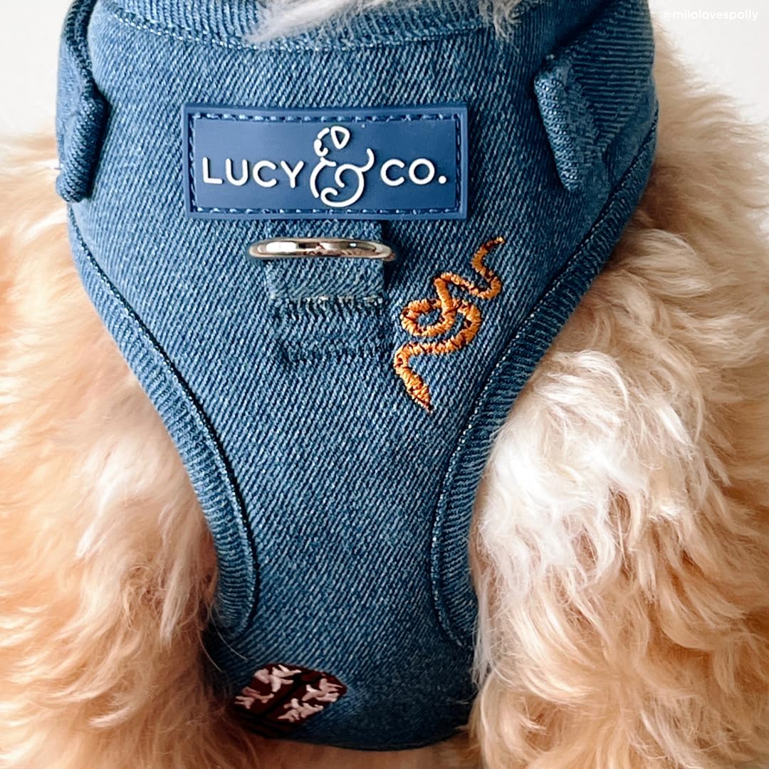 Lucy & Co Harnais anti tirage Denim Cowboy attache devant pour contrôle directionnel.