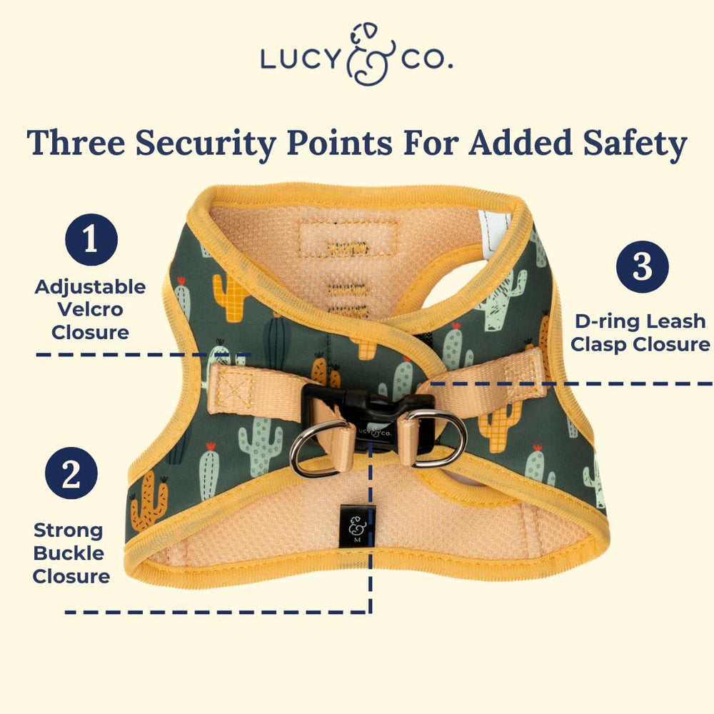 Lucy & Co. Harnais avec attaches frontales et dorsales – contrôle personnalisé.