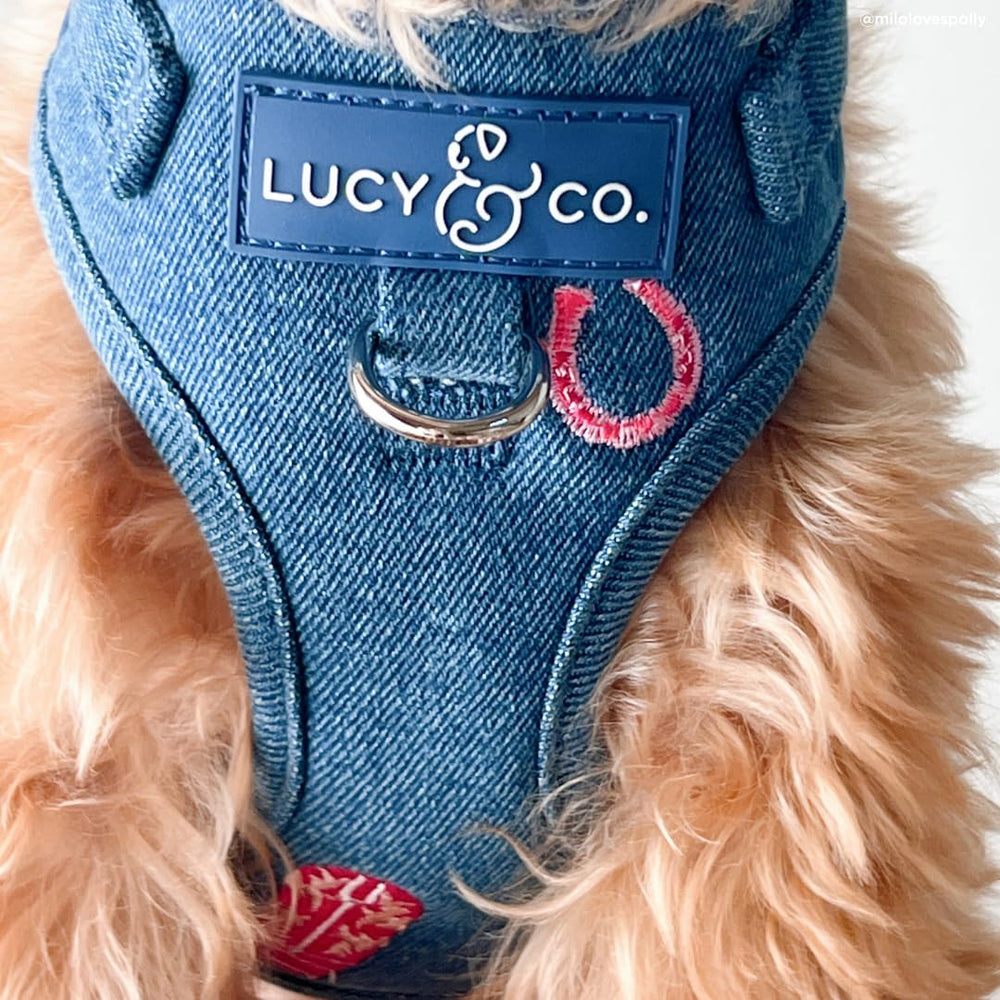 Harnais Lucy & Co Denim Cowgirl veste légère pour temps frais et style