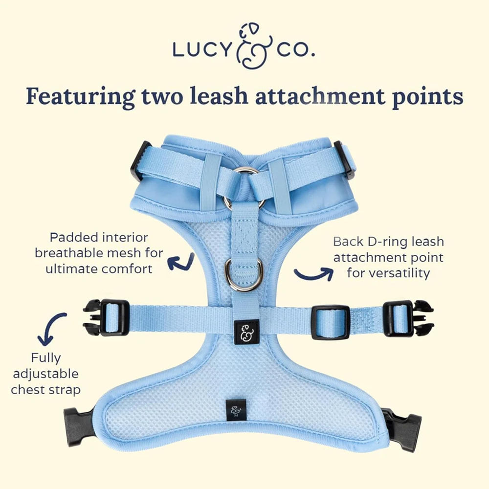 Lucy & Co Harnais Denim No-Pull, ajustement cou précis, confort durable sur longue promenade.