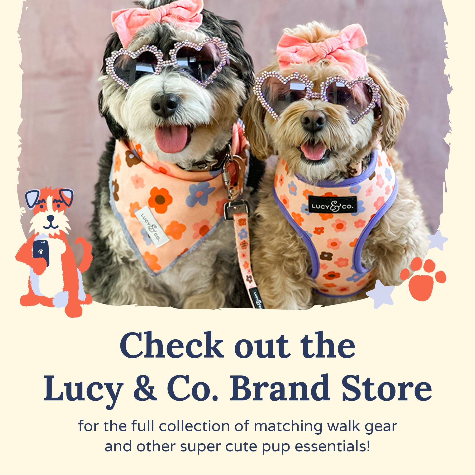 Lucy & Co Bouquet harnais édition limitée prêt pour l’aventure et l’entraînement.