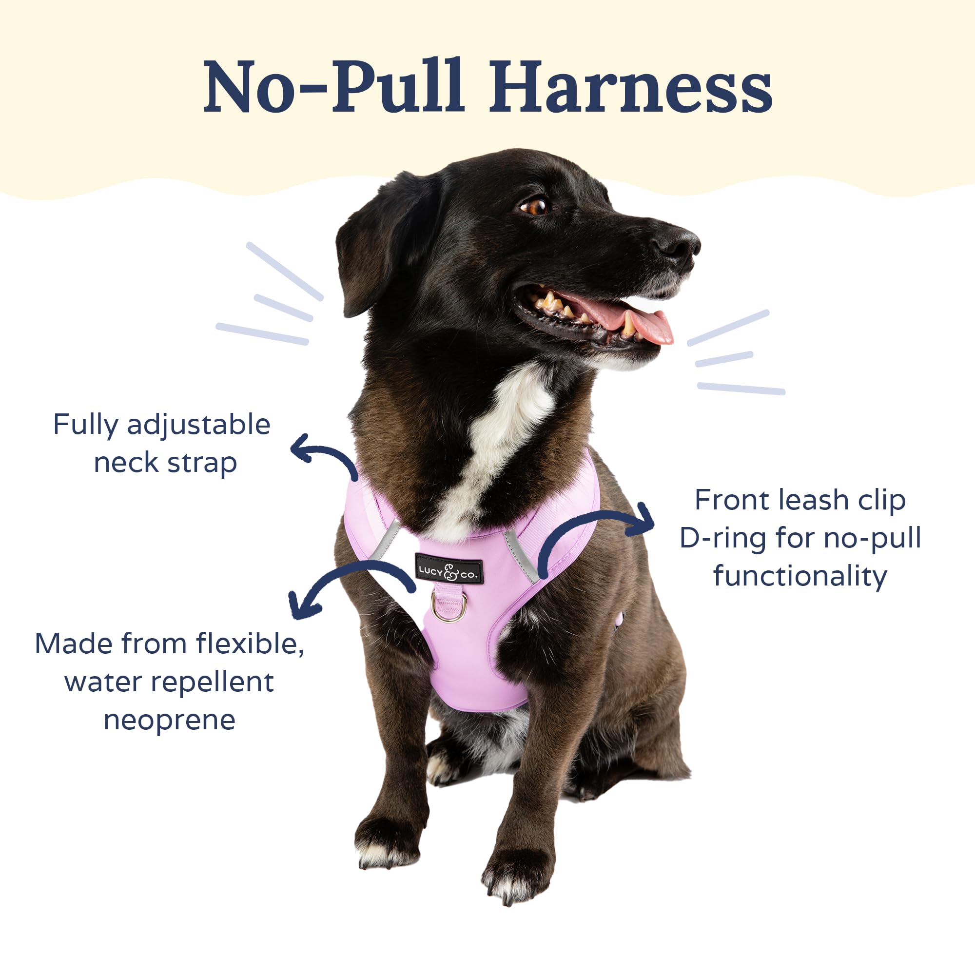 Lucy & Co Bouquet harnais sans tirage vue arrière, rembourré et léger pour chien.