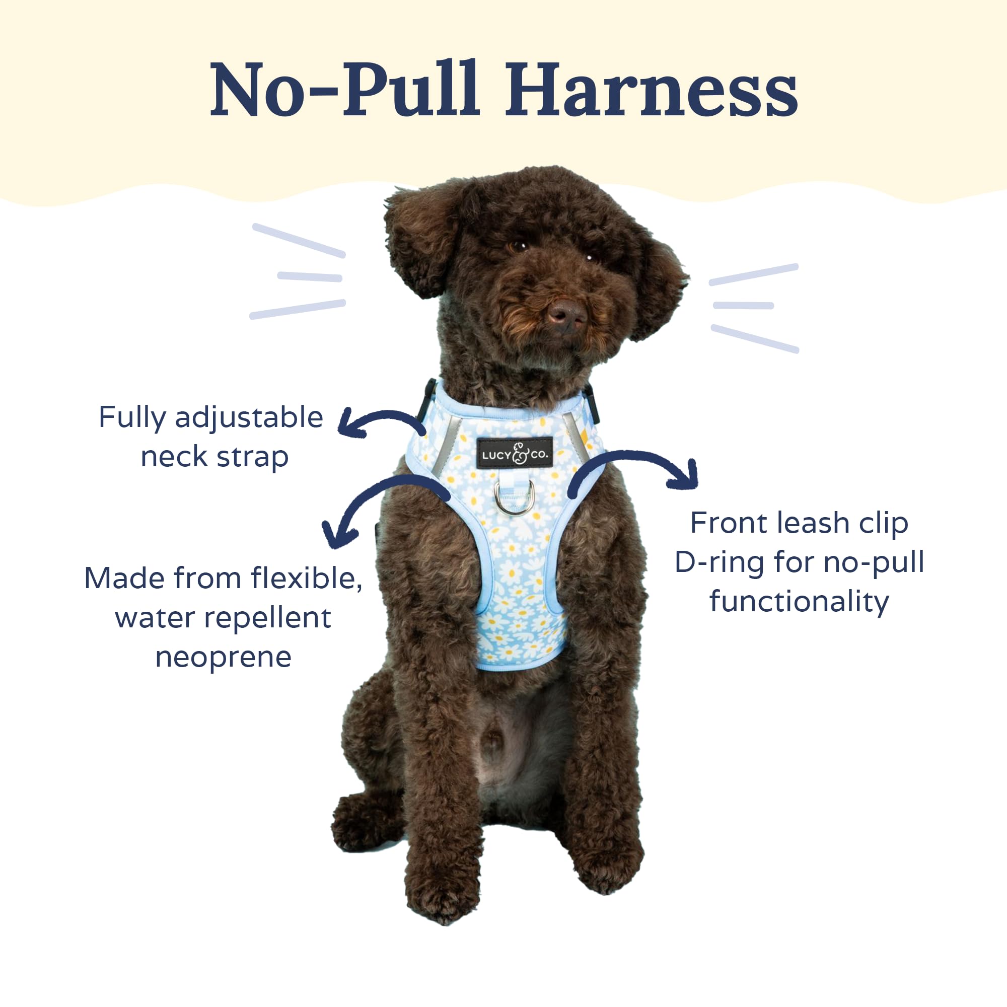 Lucy & Co. harnais sans tir arriere, attache dorsale pour securite et stabilite.