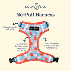 Harnais Lucy & Co XS sans tir vu de dos, facile à enfiler et ajustable.