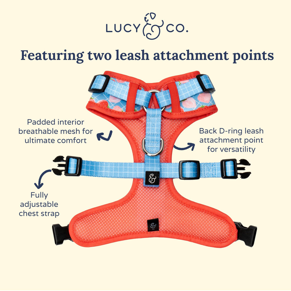Harnais Lucy & Co XS rembourré et doux, confort optimal lors des sorties.