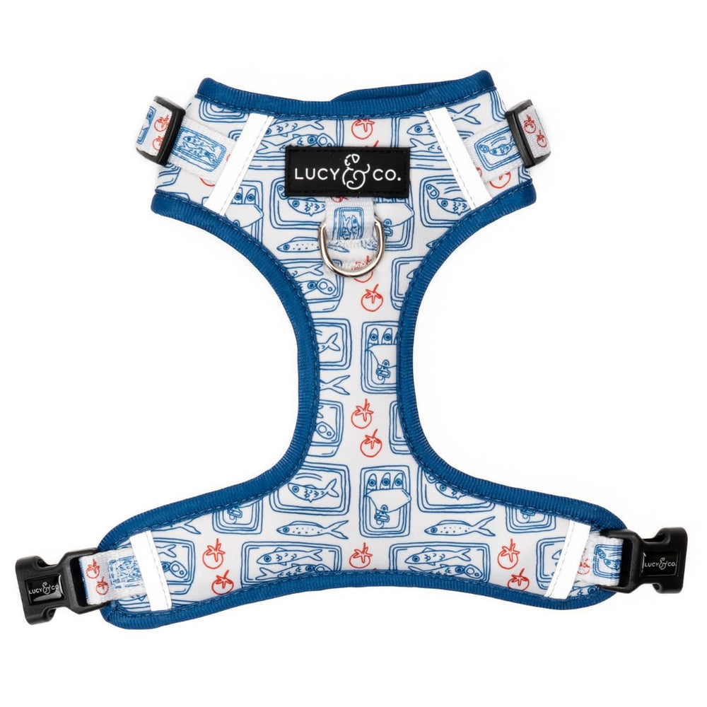 Lucy & Co Harnais sans tirage clip frontal pour chien, contrôle lors des promenades.