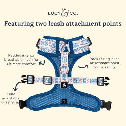 Lucy & Co Harnais taille XS, facile à ajuster pour petits chiens.