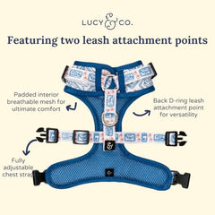 Lucy & Co Harnais taille XS, facile à ajuster pour petits chiens.