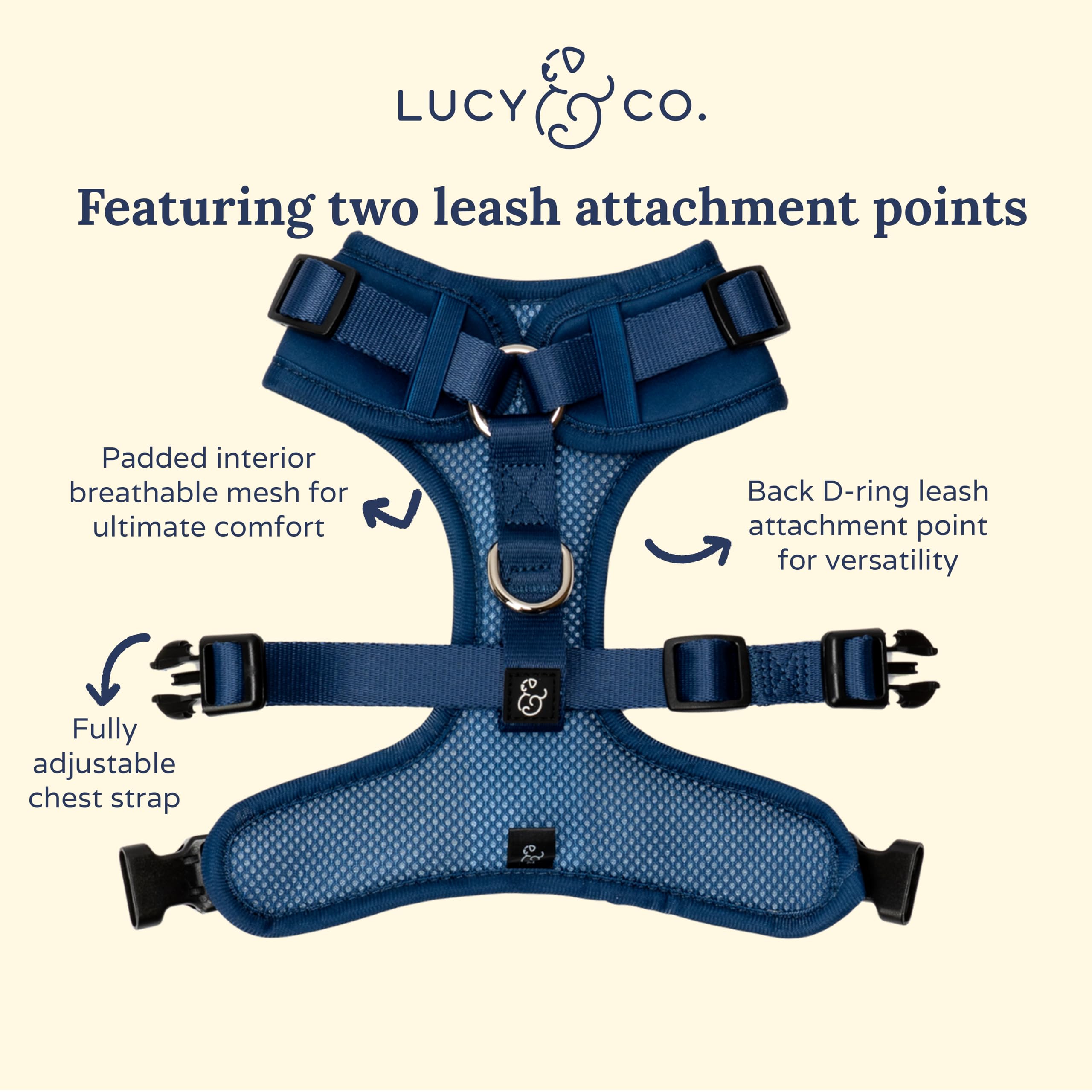 Utilisation quotidienne Lucy & Co harnais, pratique pour promenades et entraînement.