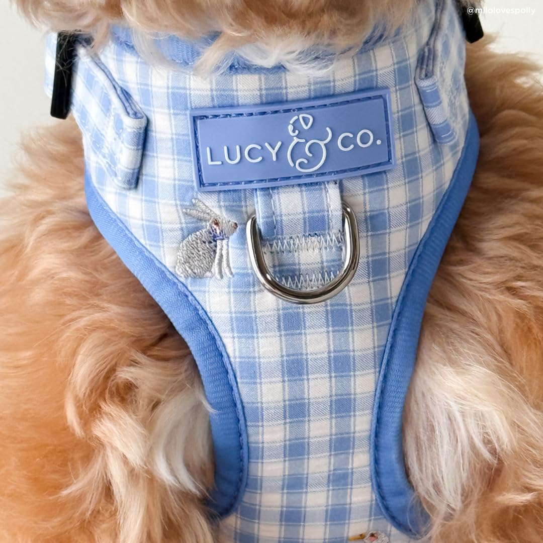 Utilisation quotidienne du harnais Silly Goose Lucy & Co pour des promenades agréables.
