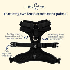Lucy & Co harnais anti tirage réglages poitrine faciles et sécurisés
