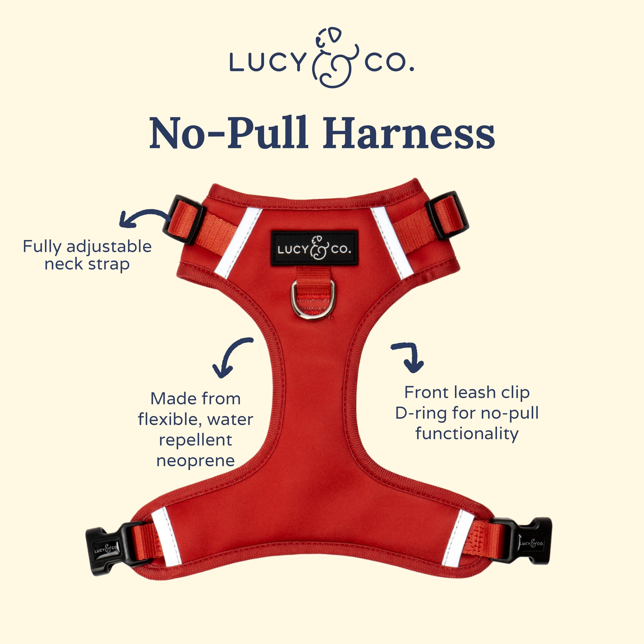 Détail des anneaux en D Lucy & Co., attaches frontale et dorsale pour flexibilité.