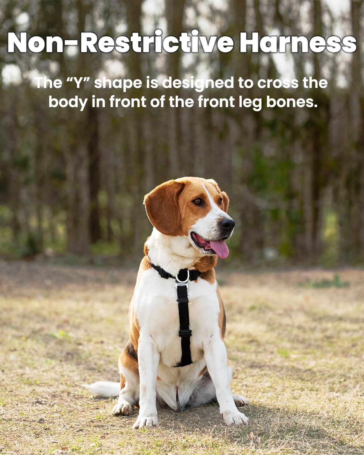 Harnais LufeLux en Y sur la poitrine, foulée naturelle.