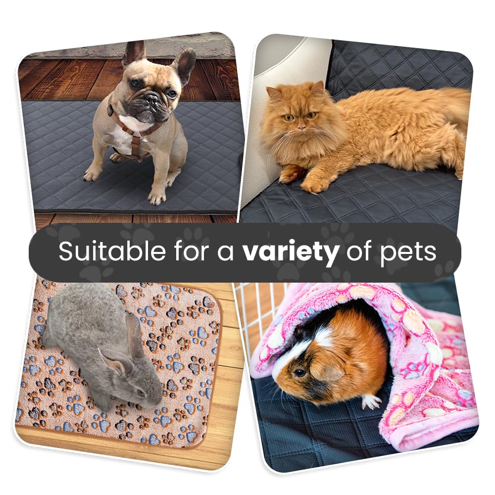 LUFTPETS coffret accessoires lapin, cadeau pratique pour cage