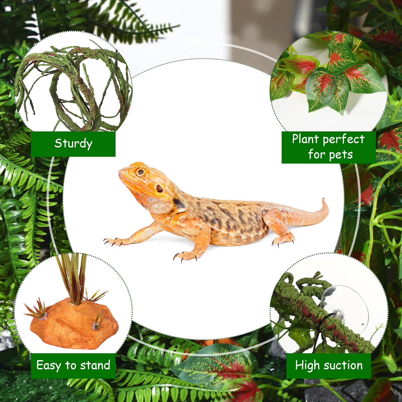 LuinaBio : attaches-câbles pour fixer solidement les plantes dans le terrarium