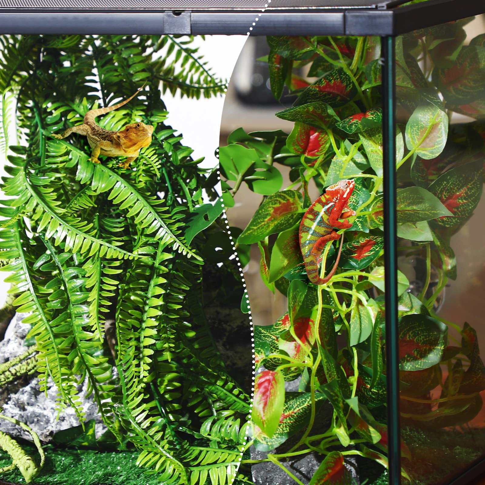 LuinaBio : décor réptile ensemble crée un espace naturel et apaisant