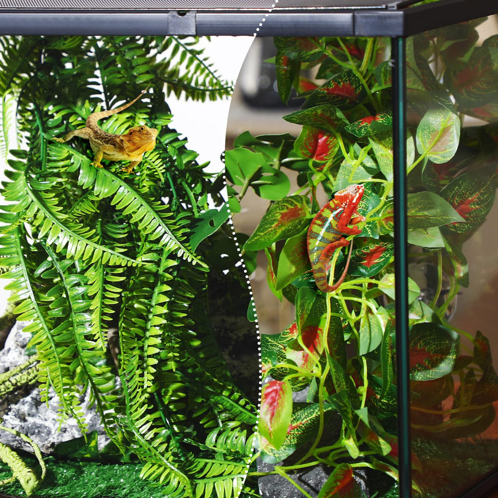 LuinaBio : décor réptile ensemble crée un espace naturel et apaisant