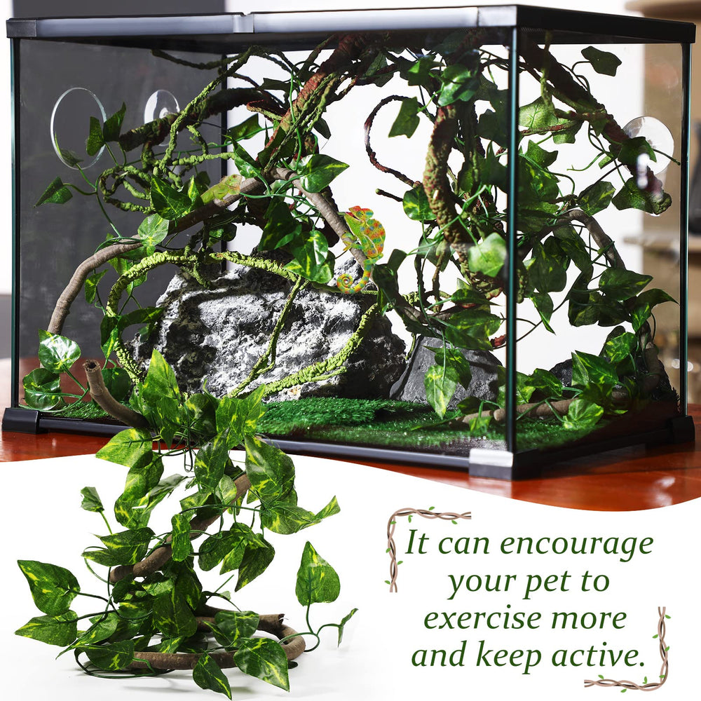 LuinaBio : plantes plastiques terrarium faciles à nettoyer et réutilisables