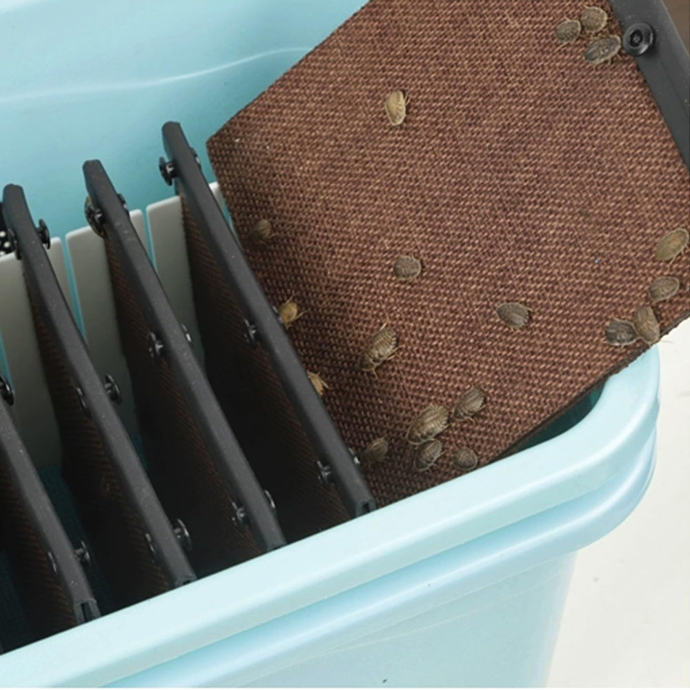 LUKHMELF Cricket Keeper Kit complet prêt à l'emploi pour élever des insectes