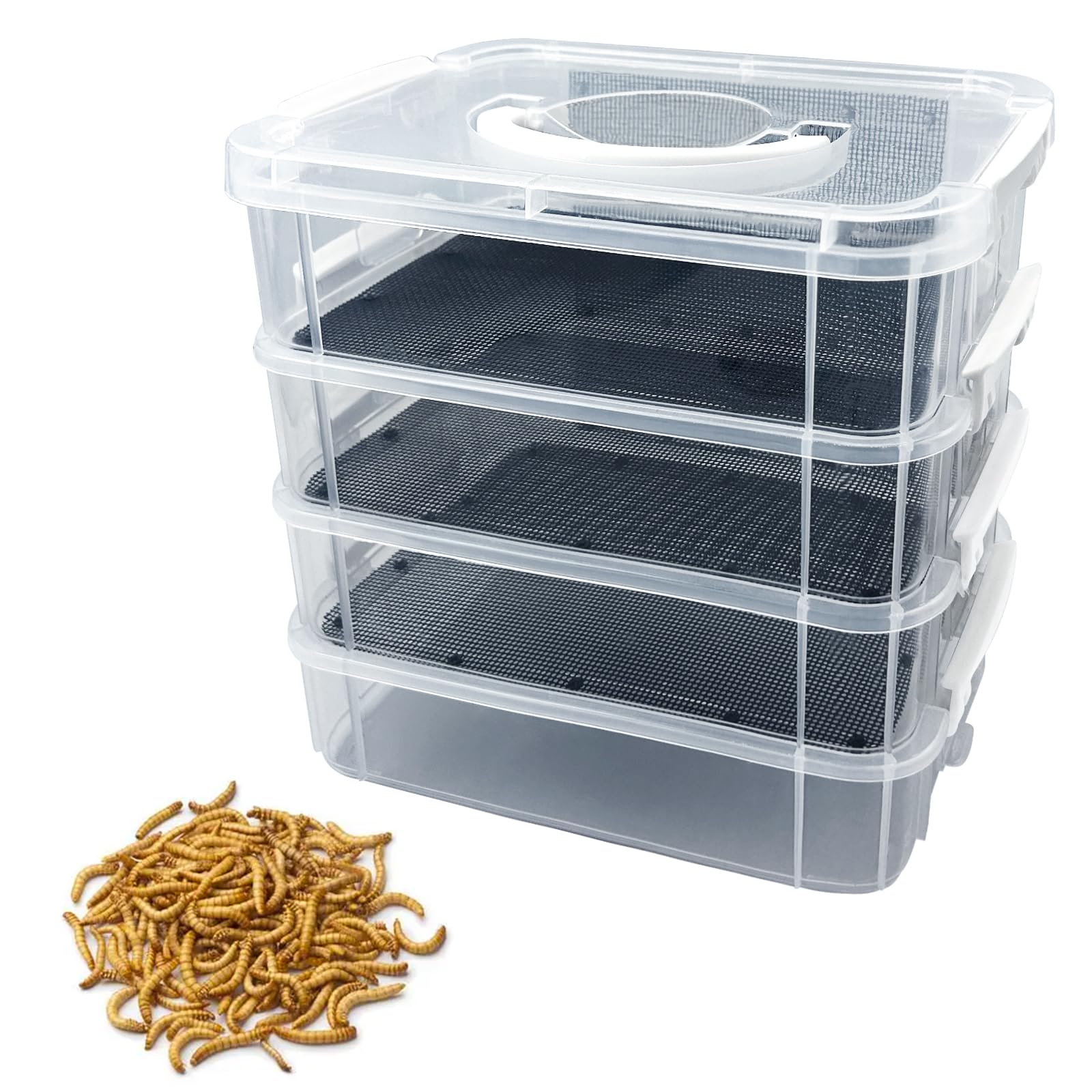 LUKHMELF kit d'élevage vers de farine quatre niveaux pour un élevage organisé
