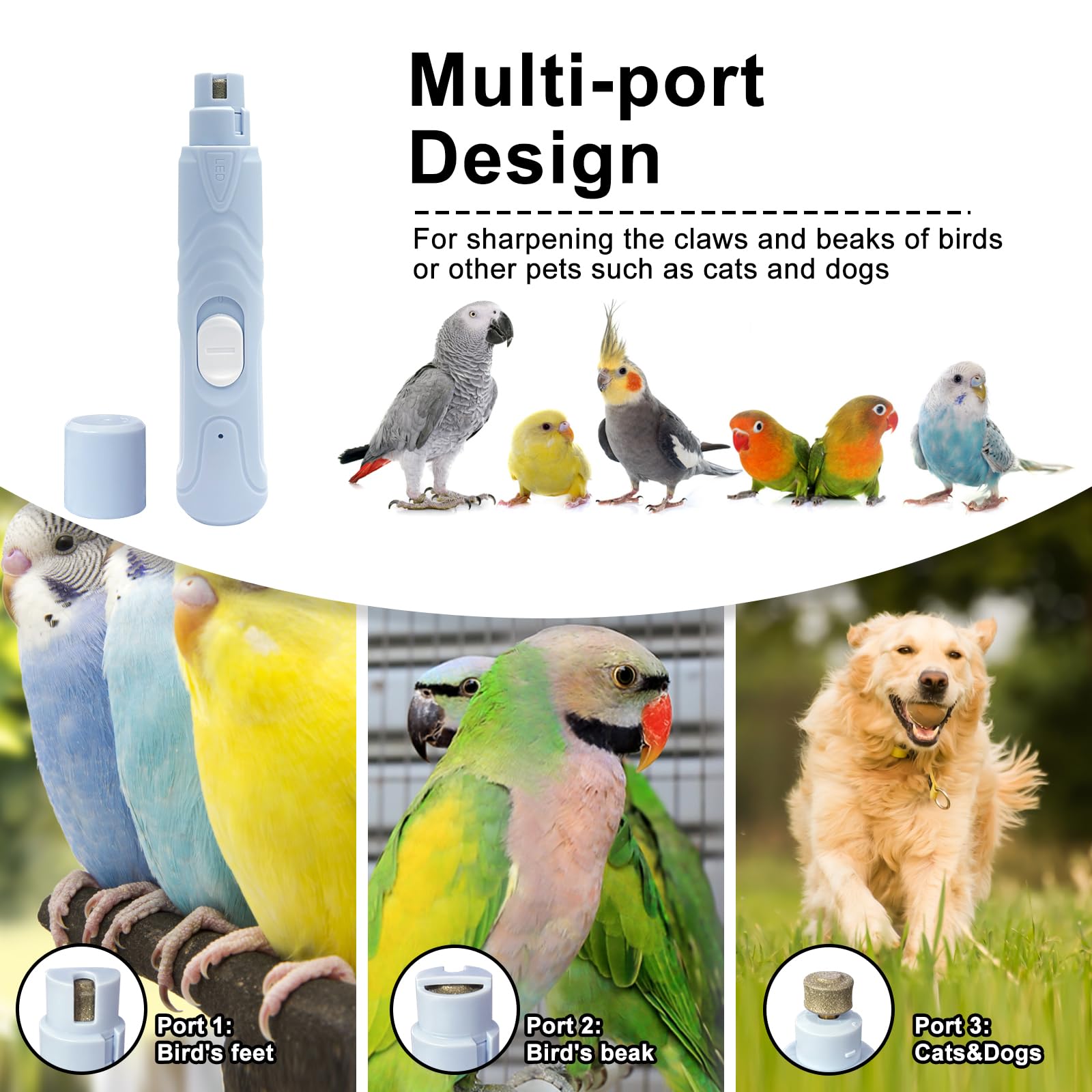 LUKHMELF meule-ongles oiseaux silencieuse : fonctionnement discret environ 52 dB