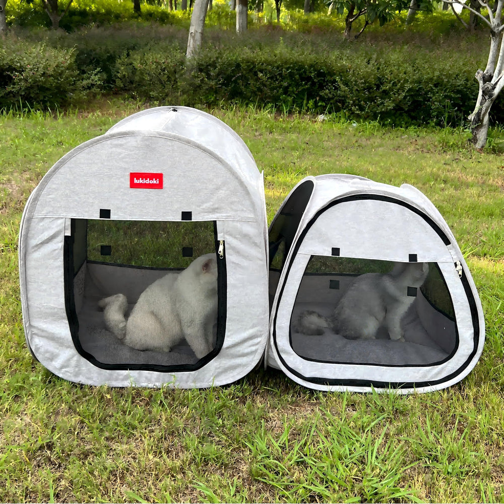 lukidoki protection des meubles et espaces de jeu des compagnons.