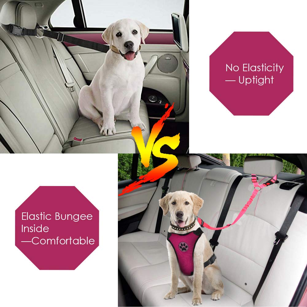 Lukovee ceinture chien auto réfléchissante rose, visibilité accrue en déplacement.