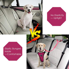 Lukovee ceinture chien auto réfléchissante rose, visibilité accrue en déplacement.