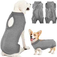Lukovee combinaison re9tablissement chien ensemble, maintien sûr et confort.