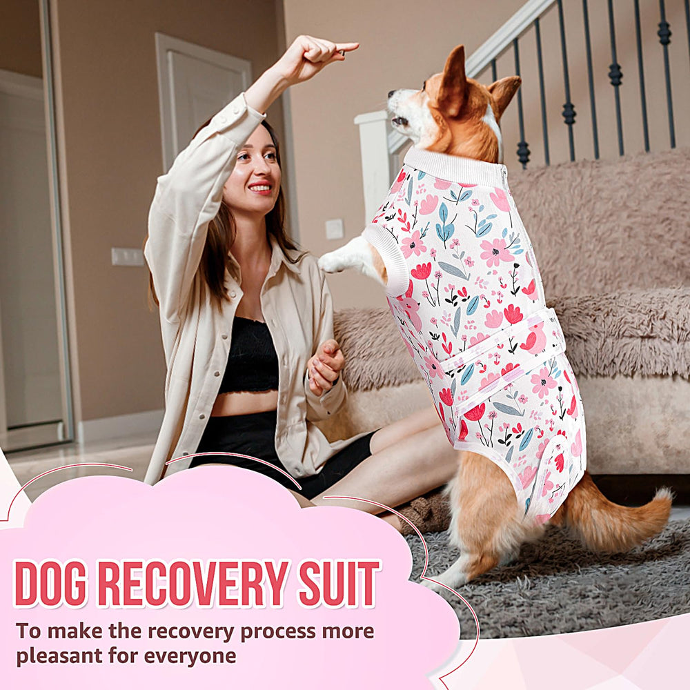Lukovee combinaison récupération chien usage quotidien, protection légère et pratique.