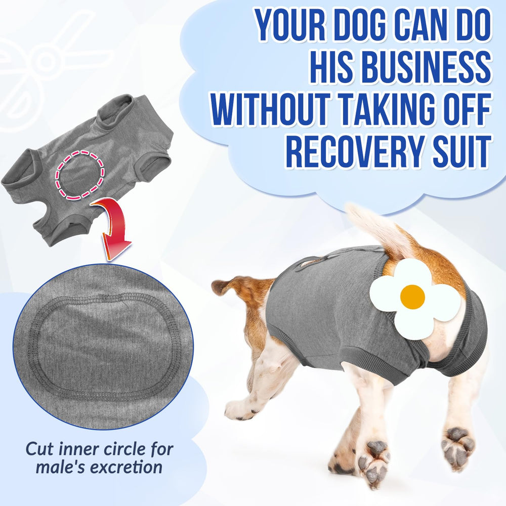 Lukovee convalescence-chien-protection-grattage-plaie, réduit le risque d'inflammation après chirurgie.