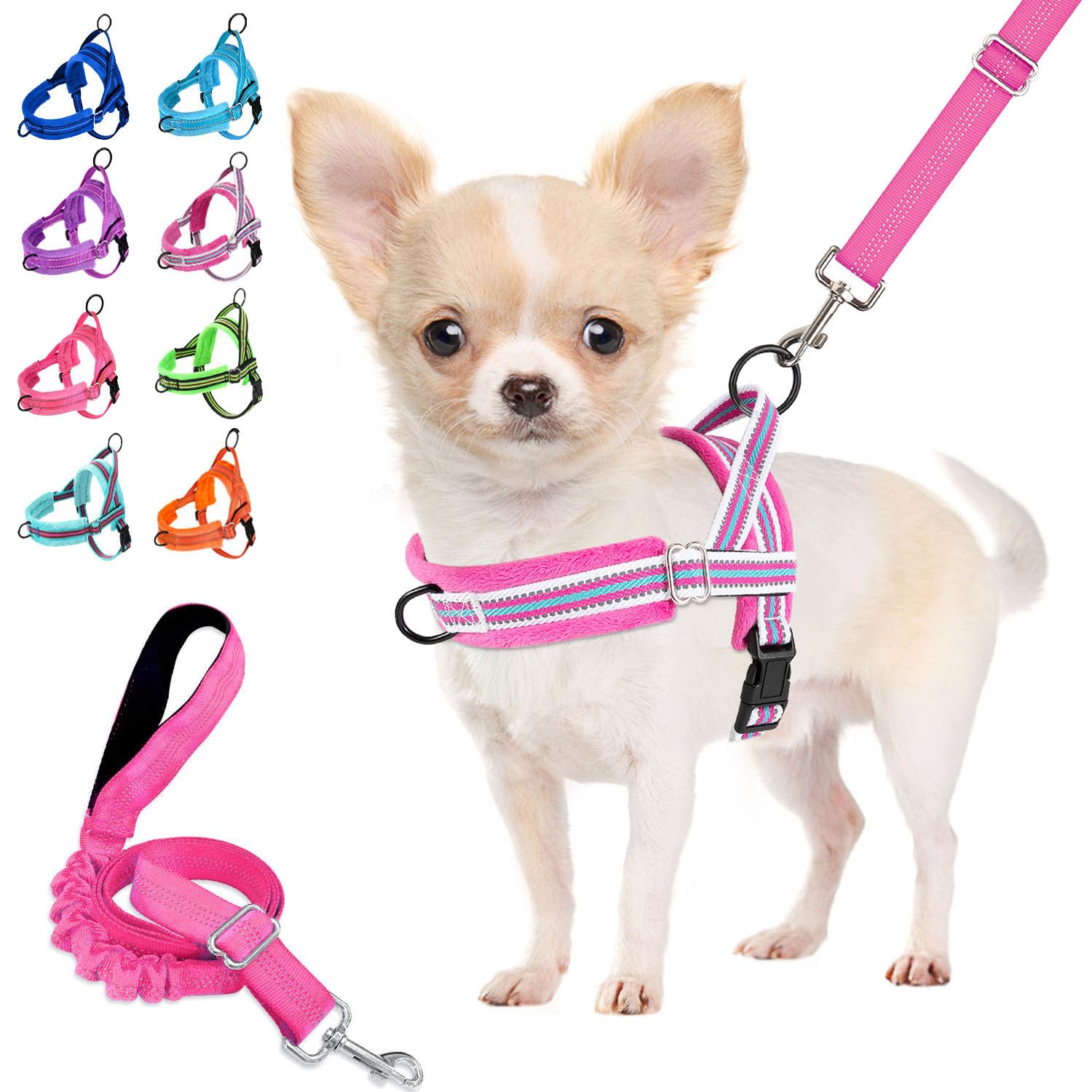 Harnais Lukovee anti-tirage pour petit chien en action pendant une promenade