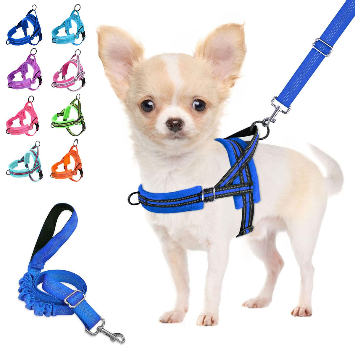 Harnais Lukovee pour petit chien bleu ajustable encolure, confort et sécurité.