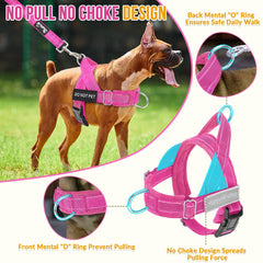 Harnais Lukovee rembourré doux sur poitrine, confort durable