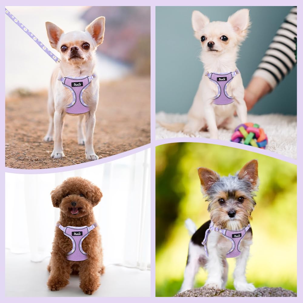 Harnais Lukovee violet pour petit chien, style coloré et sécurité.