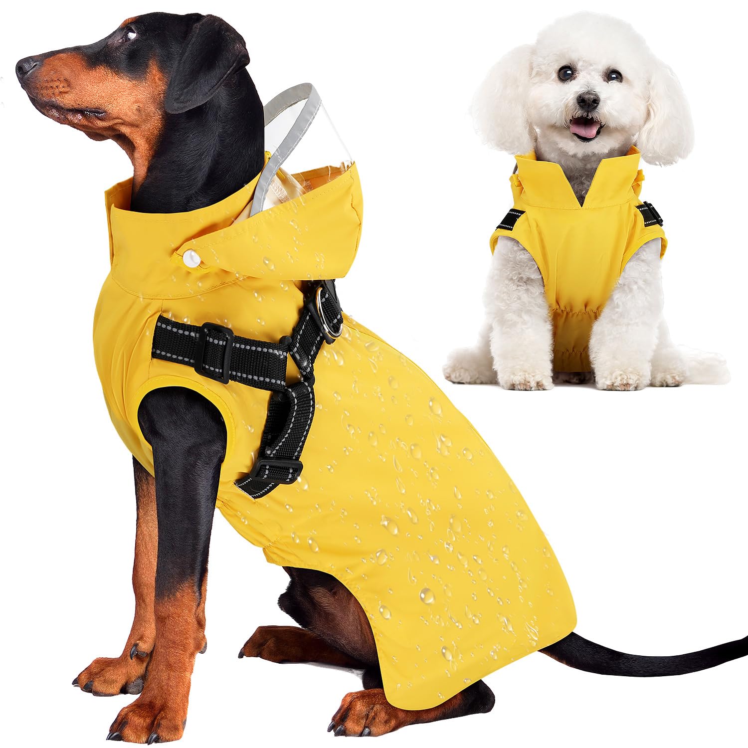 Manteau Lukovee pour chien, imperméable, protège contre la pluie lors des sorties.