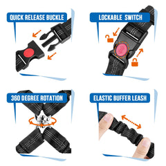 Lukovee rotation anti-enchevêtrement pour deux chiens en trajet.