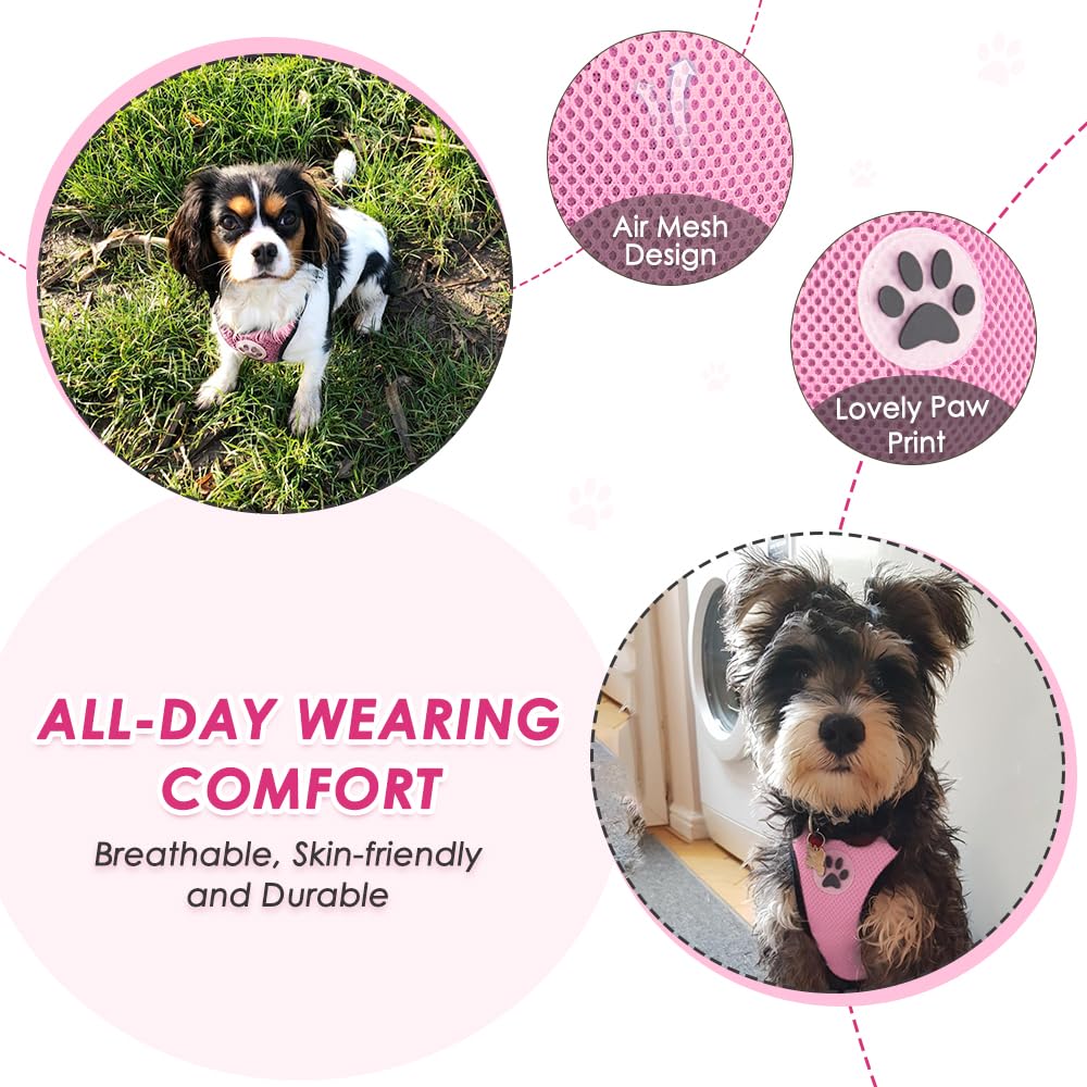 Sangle elastique Lukovee pour chien, mouvement sécurisé et flexible dans l'habitacle.