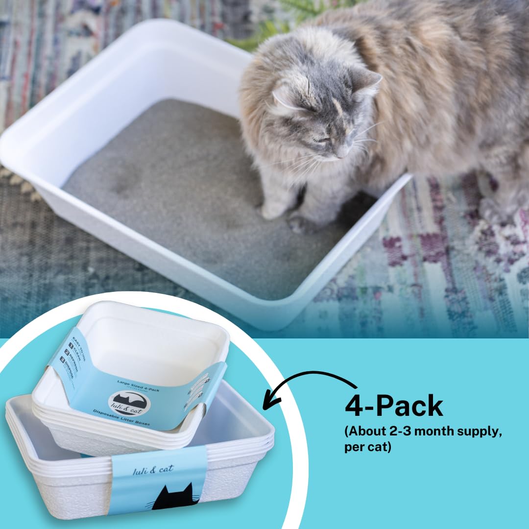 Bac Luli et Cat jetable, sans plastique et écologique.