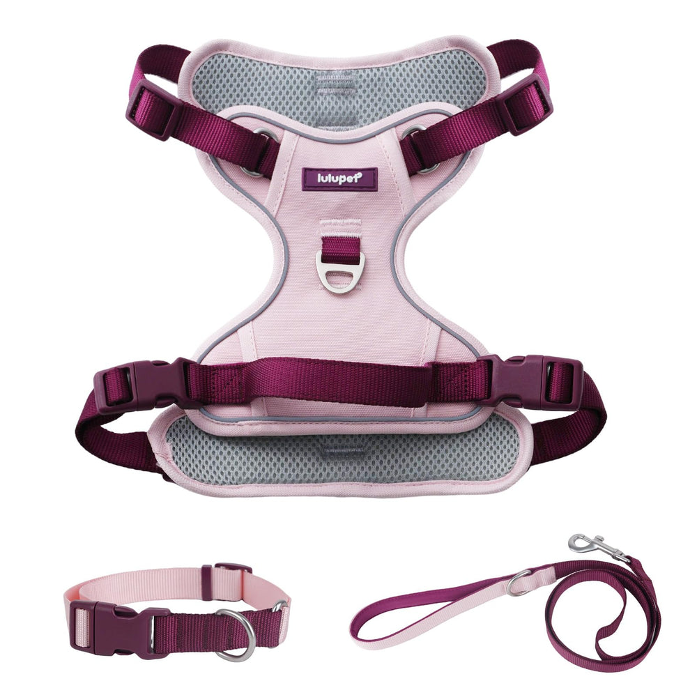 LULUPET ensemble harnais-laisse-collier 3 en 1 rose petit, confort