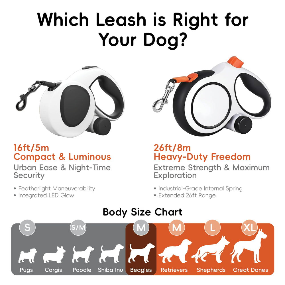LULUPET design robuste adapté pour chiens jusqu’à 66 lb.