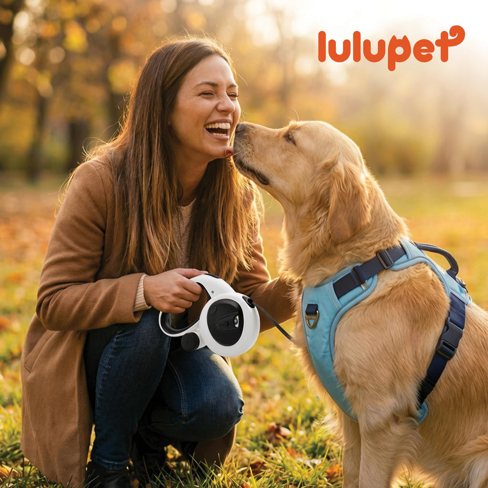 LULUPET compagnon sûr pour des sorties extérieures.