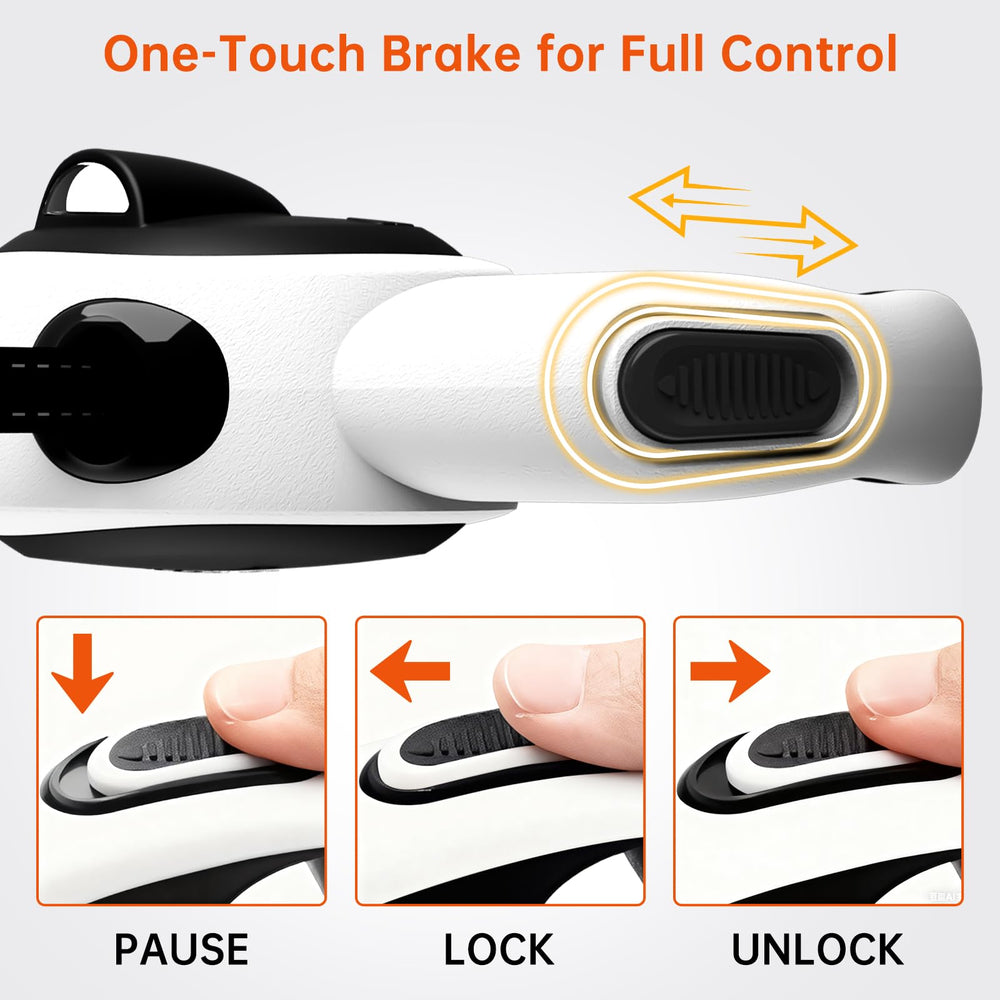LULUPET usage quotidien pratique pour les promenades et entraînements.