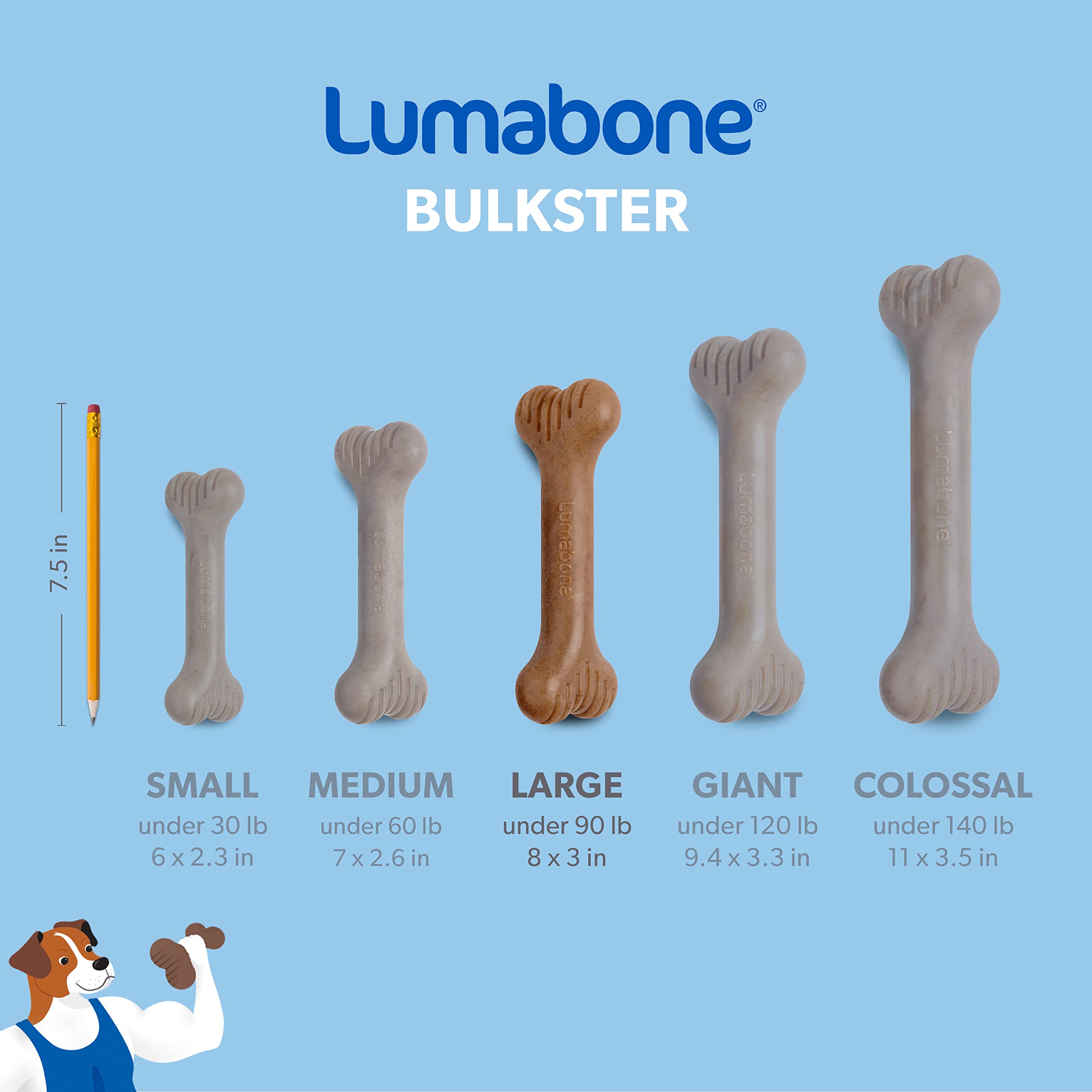 Lumabone Bulkster – nylon durable pour chiens, utilisation supervisée recommandée