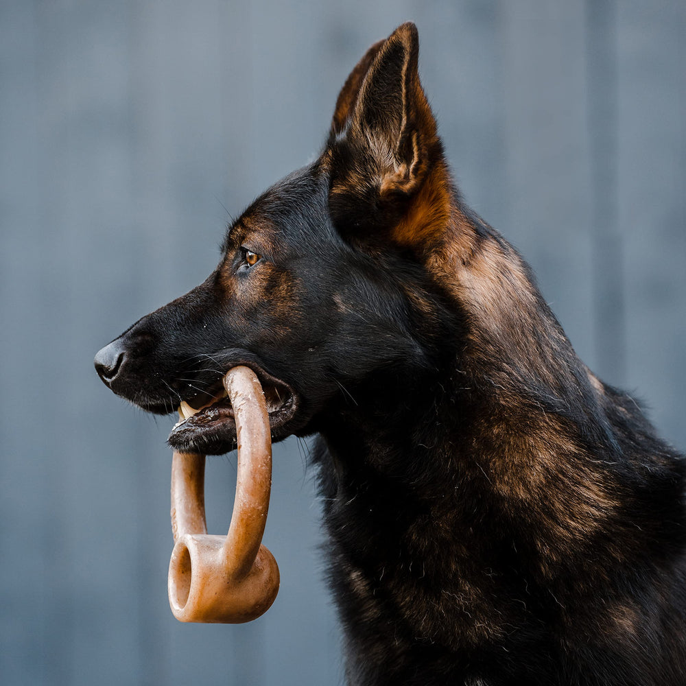 Lumabone Jouet Mâcher Intense — conçu pour mâcheurs forts et sessions prolongées.