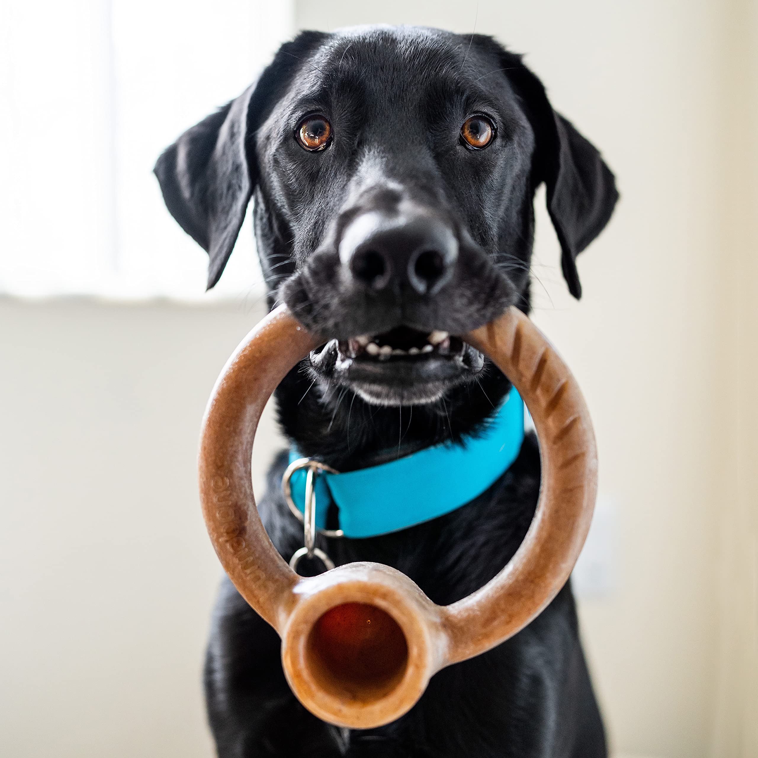 Lumabone Ring Stuffer avec trou boeuf réel, esprit gourmand et stimulation