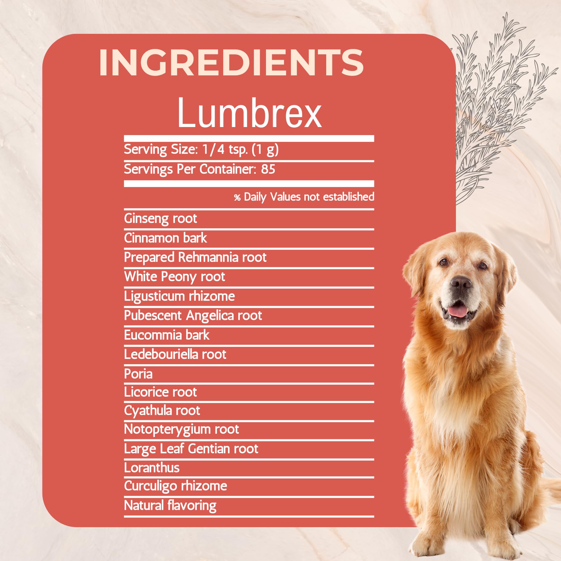 Lumbrex, poudre pour hanches-chien, contribue au mouvement et à la souplesse quotidienne