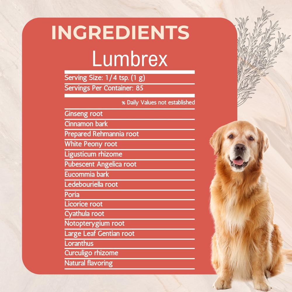 Lumbrex, poudre pour hanches-chien, contribue au mouvement et à la souplesse quotidienne
