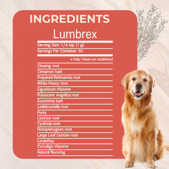 Lumbrex, poudre pour hanches-chien, contribue au mouvement et à la souplesse quotidienne