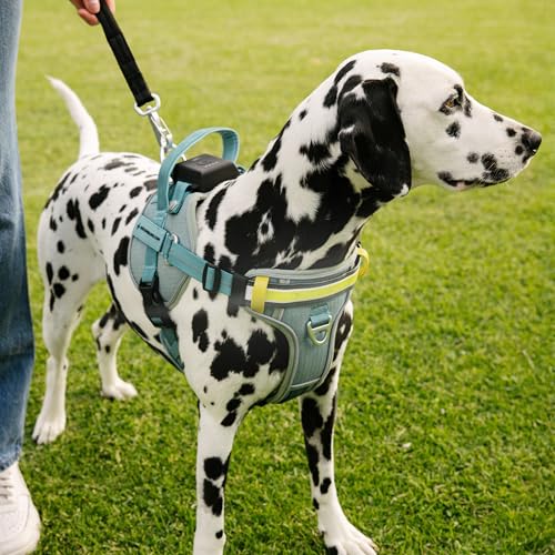 Harnais Lumi One DEL taille XL ajustable pour un ajustement sûr chez les grands chiens.